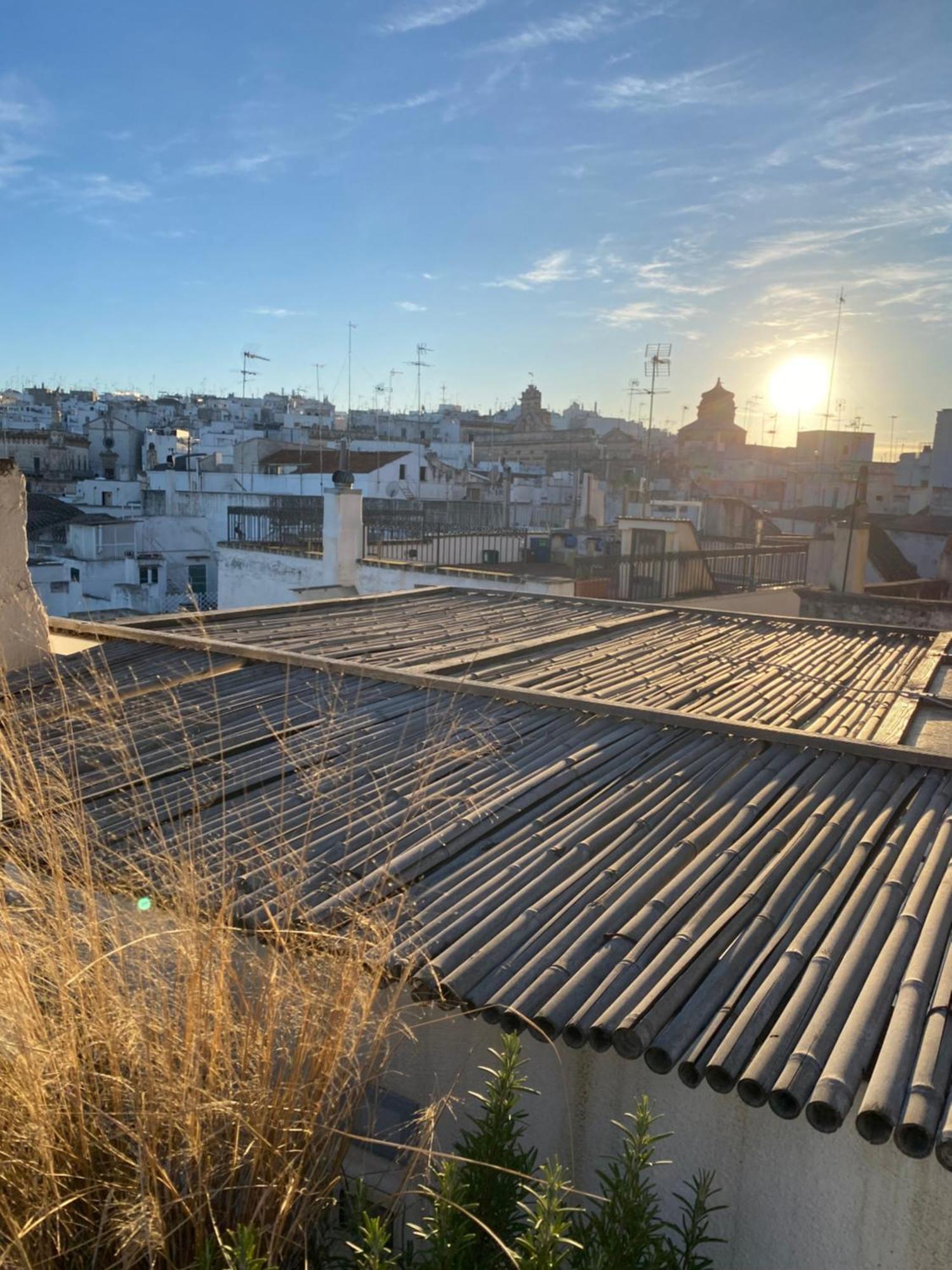 Moma Ostuni Boutique Home מראה חיצוני תמונה